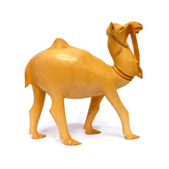 Carving Camel