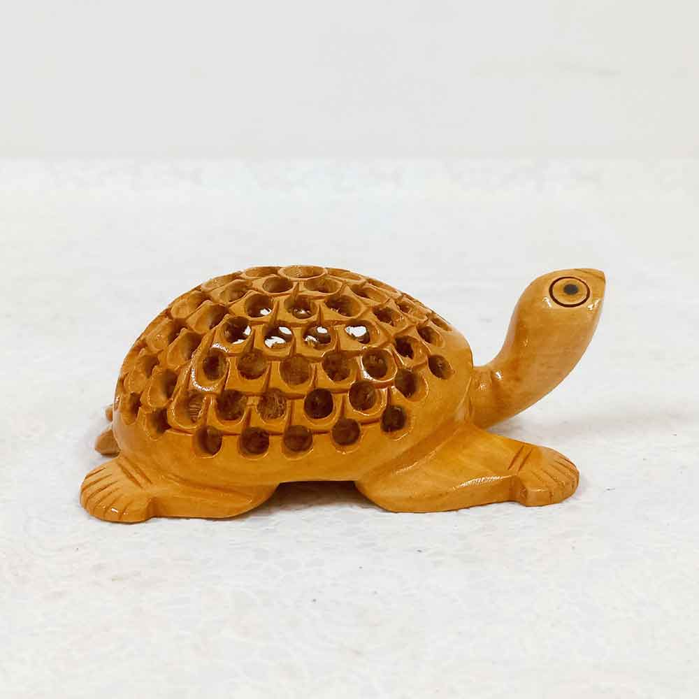 Tortoise Animal