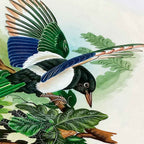 Close-up intricate color shading birds flowers traditional Jaipur miniature details